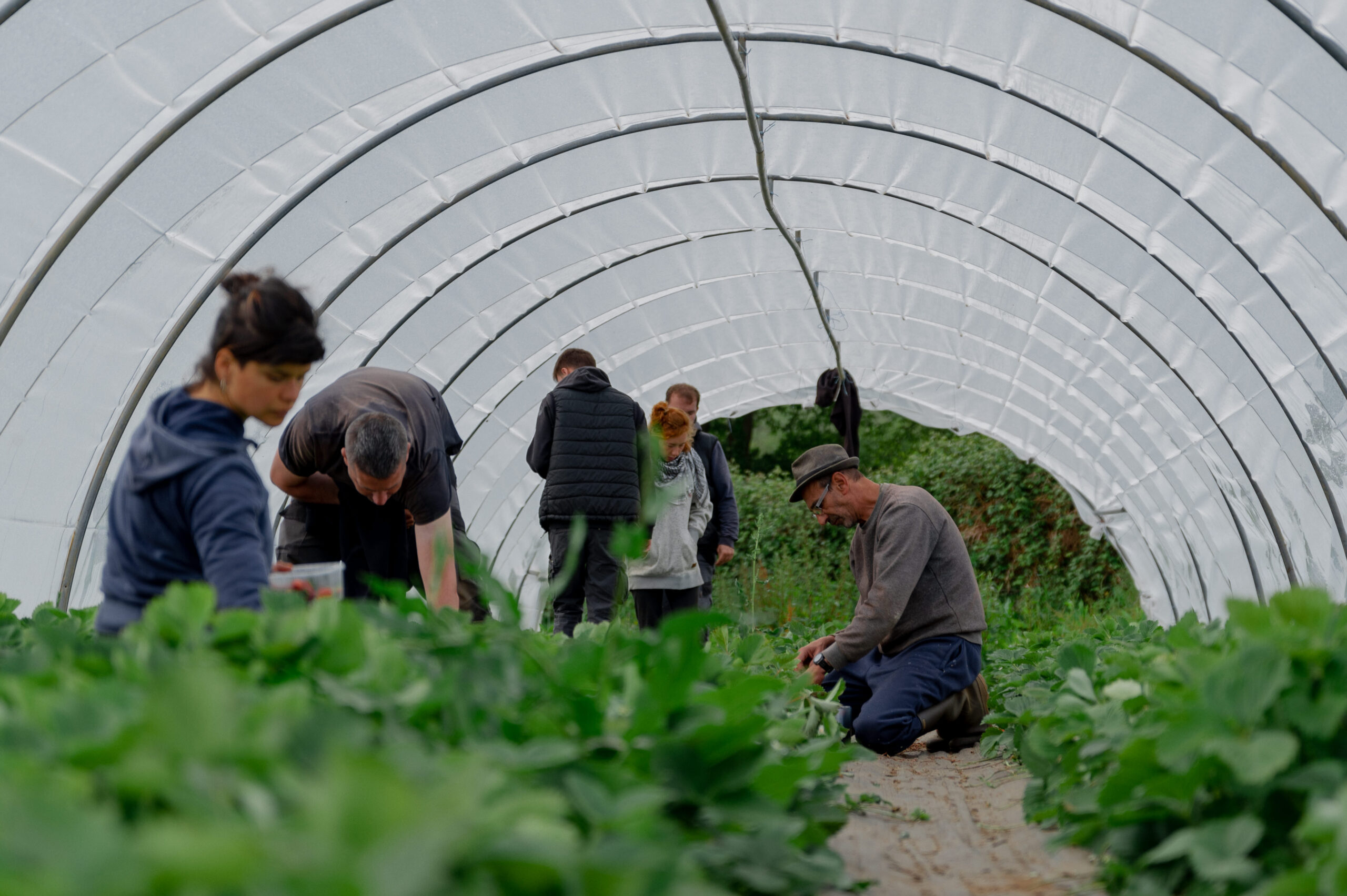 95d82278281a376f14132175483a471fb0680d57